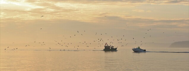 kleiner Fisch Kuttter mit Möwenschwarm und Trolling Angeboot