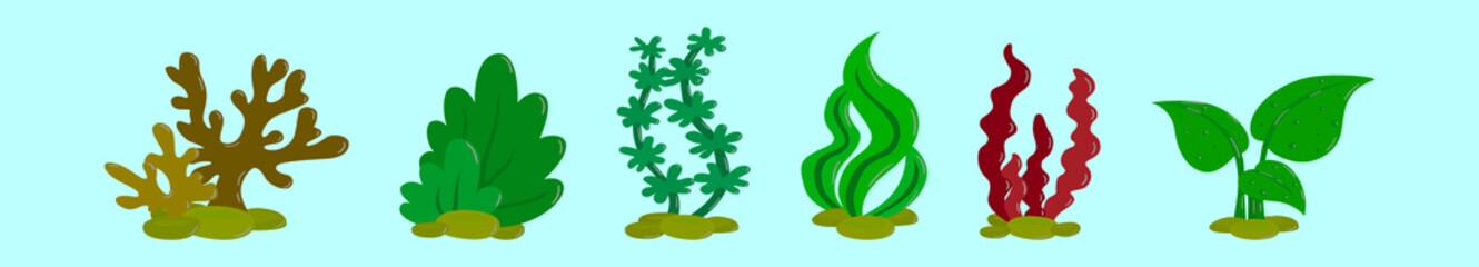 set of seaweed cartoon icon design template with various models. vector illustration isolated on blue background
