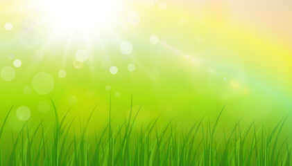 Fototapeta na wymiar Sunny natural background, summer sun with green grass and blurry bokeh as fresh green spring background, nature vector illustration.