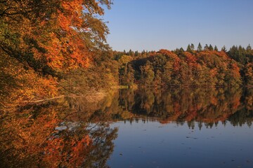 Forest lake with perfect mirror reflections in bright fall colors, autumn landscape, fall image