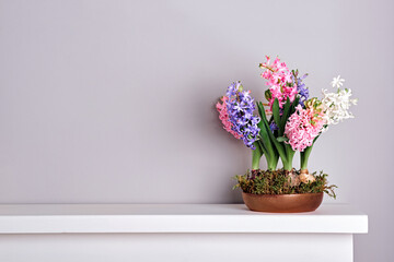 Bouquet of hyacinths in bowl with moss on mantelpiece. Spring and Easter natural interior decor, copy space