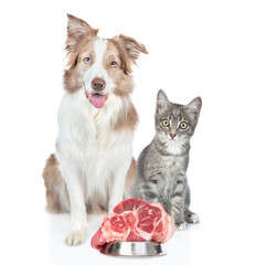 Border collie dog and kitten sit together with bowl of a raw meat. isolated on white background