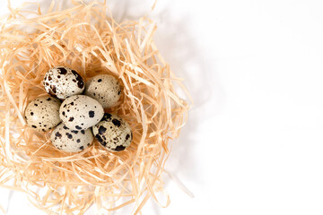 many quail eggs on white background