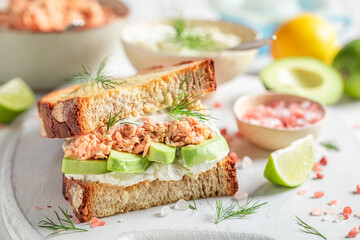 Tasty sandwich with salmon and avocado for fresh lunch.