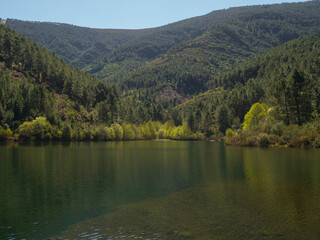 Fototapeta premium Lake between mountains with green pines