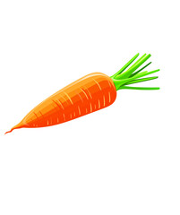 carrots fresh vegetables 