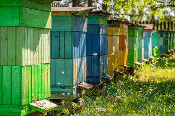 Handmade beehives in garden. Ecological and natural beekeeping.