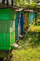 Handmade apiary in garden. Production of ecological honey.