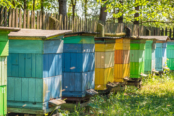 Colorful apiary in garden. Production of ecological honey.