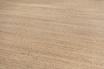 empty clean agriculture field, background and texture for design, copy space, eco farming and organic agriculture concept. The field after harvesting.