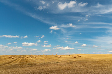 Hay bales dry in the field on a warm summer day under beautiful fluffy clouds and a blue sky....