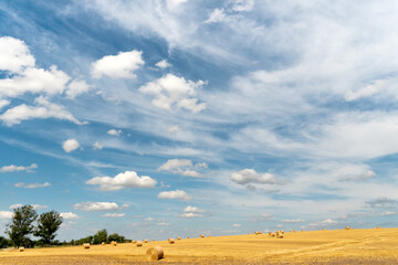 Hay bales dry in the field on a warm summer day under beautiful fluffy clouds and a blue sky. Beautiful rural landscape. The season of grain harvesting and foraging for livestock. cereals and legumes