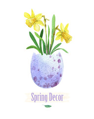 Flowers in an eggshell. Spring narcissus. Watercolor vase egg. Easter decor