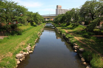 川にある風景。東湖湯を流れる野川の風景。調布近辺