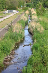 川にある風景。東京を流れる野川の風景。