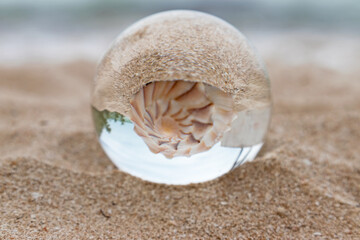 Seashell on a sandy beach reflected through a crystal ball