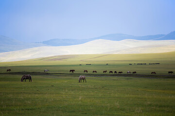 Mongolia
