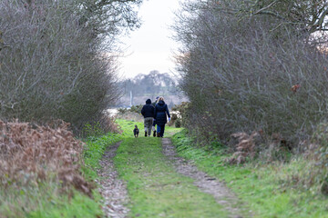 An unknown family walking their dog through the beautiful Suffolk countryside on a cold winters day