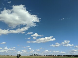 Naklejka na ściany i meble Panoramablick über eine Landschaft mit abgeernteten Feldern und wenigen Bäumen bei schönem Wetter mit blauem Himmel und einigen Schönwetterwolken