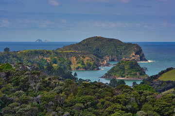 Fototapeta premium View of the sea and mountains with thick vegetation.