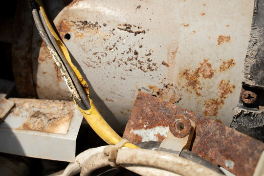 rat gnaw old cable risk damage electrical shock