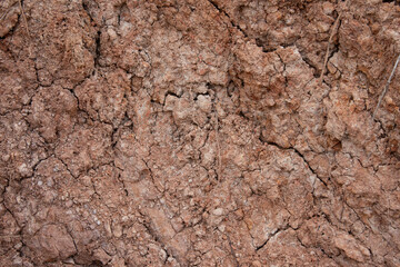 Abstract background,
Red ground texture.
for graphic design, space for text.