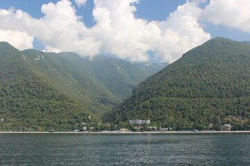 Gorge with wild forest