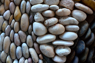 The pebbles were placed in order to form different animals.