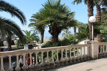 Balustrade with sea view among palm trees