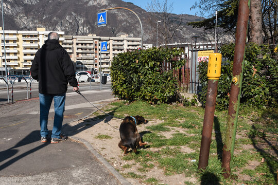 passeggiata con il cane citt&agrave; cacca cane deiezioni 