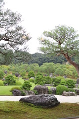 Japan Garden 庭園