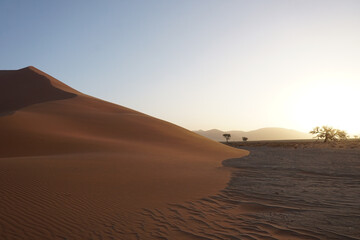 Fototapeta na wymiar The red dunes of sossusvlei national park during sunset.