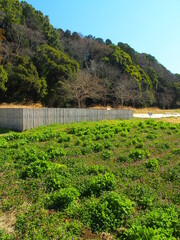 堆肥置き場のある早春の里山風景