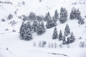 Snowy winter mountains in Georgia. Caucasus Mountains