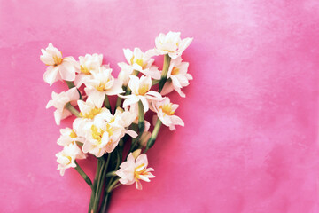 Bouquet of white narcissus flowers on pink watercolor background, scented spring flowers

