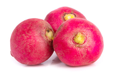 Small garden radish isolated on white background