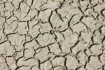 Dry cracked ground. The problem of drought