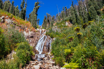 Obraz premium Steavenson Falls in Marysville Australia