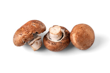 Mushrooms isolated on white. Three brown champignons mushrooms. A bunch of mushrooms.