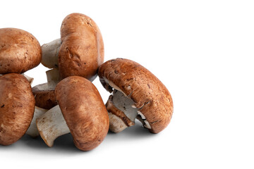 Raw mushrooms champignons isolated on white background. Brown wet mushrooms with copy space. A pile of mushrooms.