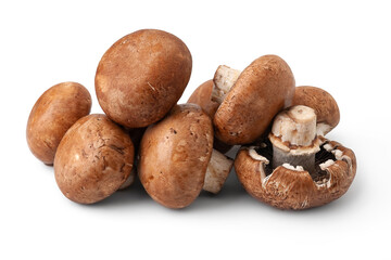 Champignon mushrooms isolated on white background. Brown wet mushrooms. A pile of mushrooms.