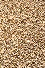 Quinoa seed background, macro view