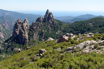 Fototapeta na wymiar Mountain landscape in southern Corsica