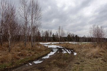 The last snow on the country road.