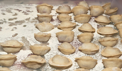 Raw dumplings laid out on white flour