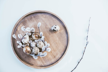 quail eggs and sprigs of fluffy gray willow on a wooden plate. willow branches on a white table