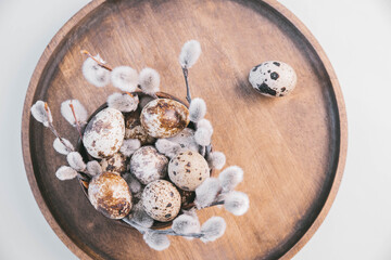 quail eggs and sprigs of fluffy gray willow on a wooden plate. willow branches on a white table