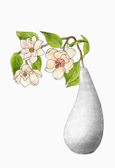 
Watercolor illustration of a blooming magnolia twig with light peach flowers in a white vase isolated on a white background