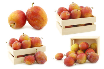 fresh ripe red and yellow plums and some cut ones on a white background