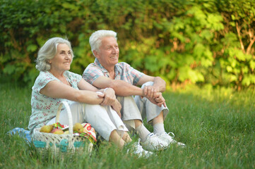 Loving elderly couple having a picnic